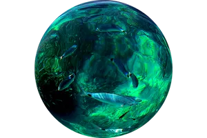 Aquatic Sphere Fish Environment