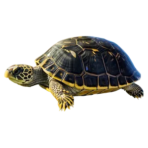 Aquatic Turtle Underwater Png Ejy63 PNG image