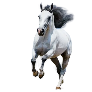 Arabian Horse Running Elegance PNG 06292024 PNG