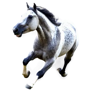 Arabian Horse Running Elegance PNG 06292024 PNG