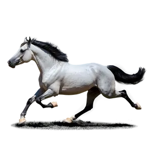 Arabian Horse Running Elegance PNG 70 PNG