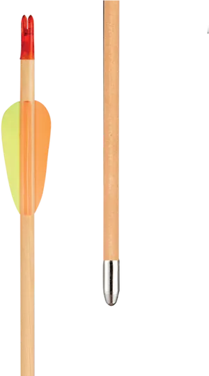 Archery Arrow Components PNG image