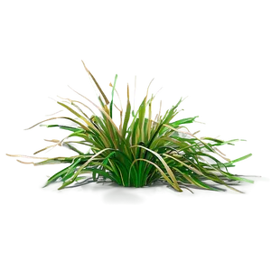 Architectural Grass PNG 17 PNG
