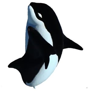 Arctic Orca PNG 11