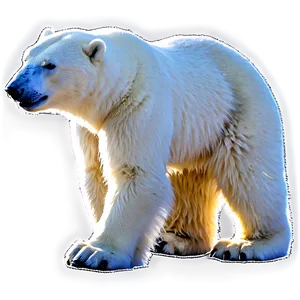 Arctic Polar Bear PNG Sje55