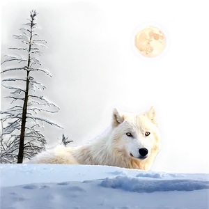 Arctic Wolf In Moonlight Png 92 PNG image