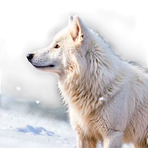 Arctic Wolf In Snow Png 06292024 PNG image