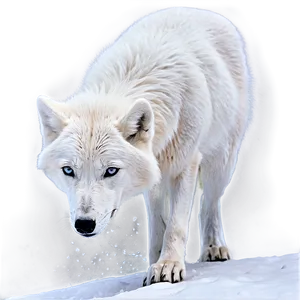 Arctic Wolf In Snowstorm PNG Oek19