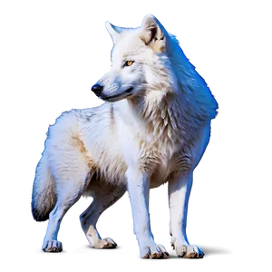 Arctic Wolf Mating Dance PNG Eym PNG