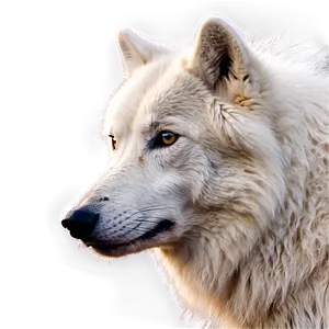 Arctic Wolf Portrait Png 06292024 PNG image