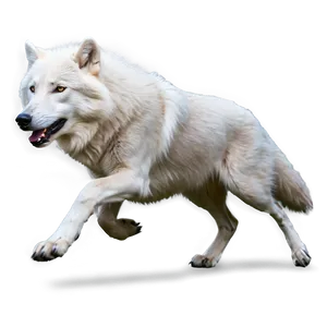 Arctic Wolf Running Png Vsp PNG image