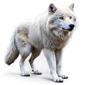 Arctic Wolf Side View PNG 42