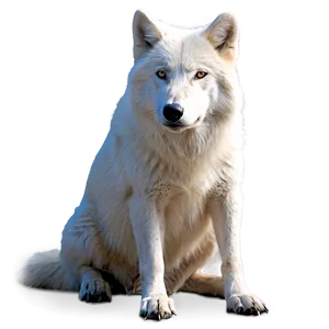 Arctic Wolf Sitting PNG 06292024