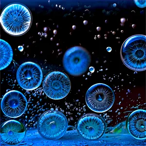 Arctic Zooplankton PNG But42 PNG