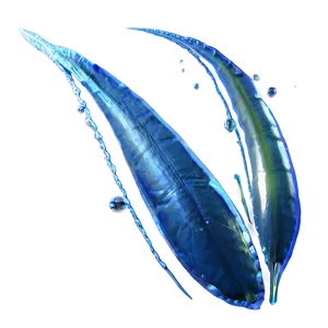 Arctic Zooplankton PNG Dwh72 PNG
