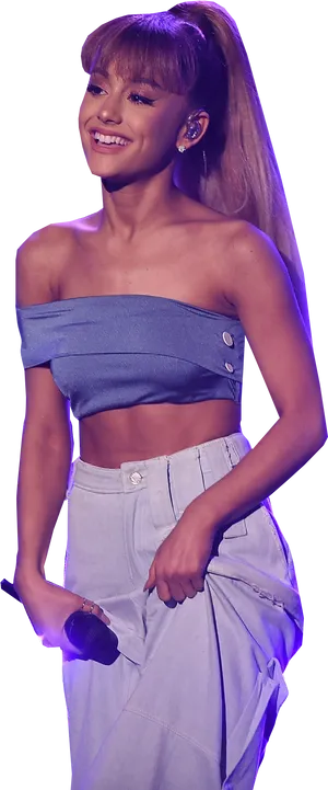 Ariana Grande Performance Outfit PNG image