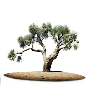 Arid Desert Trees PNG Hor