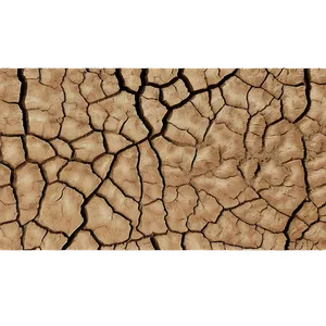 Arid Land Dirt Texture PNG Dup PNG