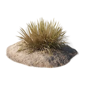 Arid Land Grass Png 97 PNG image