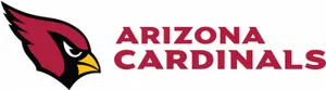 Arizona Cardinals Team Logo PNG image