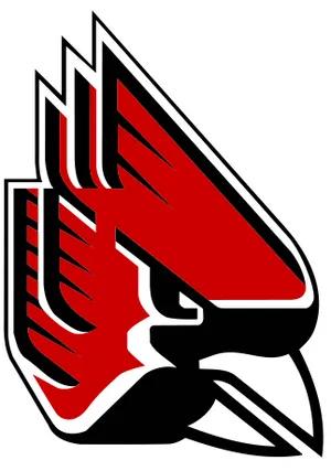 Arizona Cardinals Team Logo PNG image