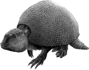 Armadillo Illustration Profile PNG