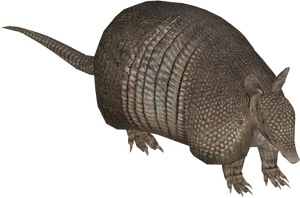 Armadillo Side View Graphic PNG