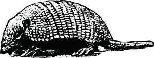 Armadillo Silhouette Graphic PNG
