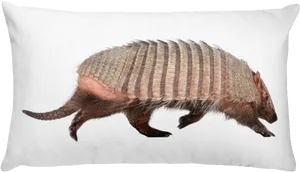 Armadilloon Pillow Graphic PNG image