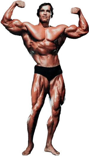 Arnold Schwarzenegger Bodybuilding Pose PNG image