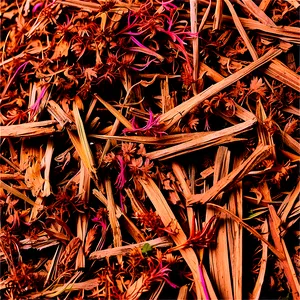 Aromatic Cedar Mulch PNG 56