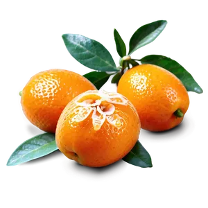 Aromatic Kumquat PNG 06252024
