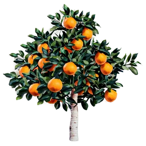Aromatic Orange Tree PNG Bib40 PNG