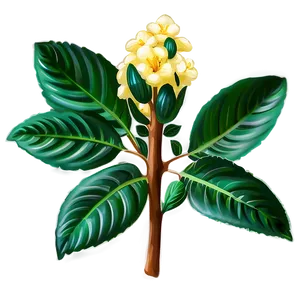 Aromatic Plant PNG Jfj3