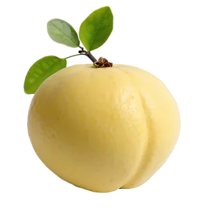 Aromatic Quince PNG Slo