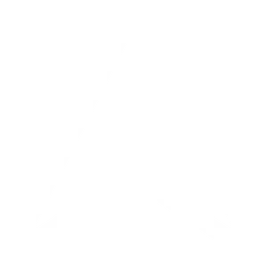 Arrowhead Symbol Graphic