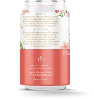 Arroyo Sparkling Tea Can PNG