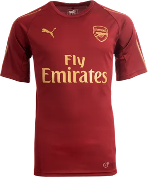Arsenal Fly Emirates Jersey PNG image