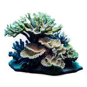 Artificial Coral Reef PNG 21