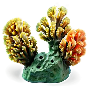 Artificial Coral Reef PNG 79