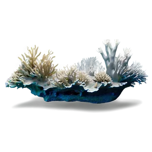 Artificial Coral Reef PNG 98