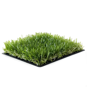 Artificial Green Grass PNG Mst46 PNG