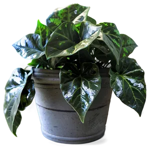 Artificial Ivy Plant Png Fyi PNG image