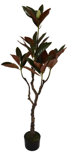 Artificial Magnolia Tree Decoration PNG image