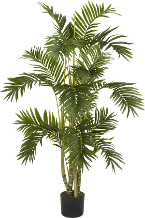 Artificial Palm Plant Black Background PNG image