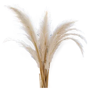 Artificial Pampas Grass PNG 06122024