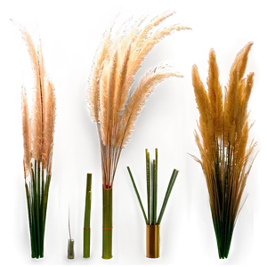 Artificial Pampas Grass PNG Epk