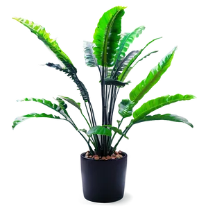 Artificial Plant For Bathroom Png 12 PNG image