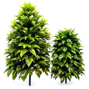 Artificial Shrubbery Png 06282024 PNG image