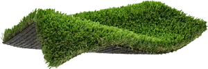 Artificial Turf Sample Texture PNG image